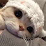 Avatar de Viviana Mármol